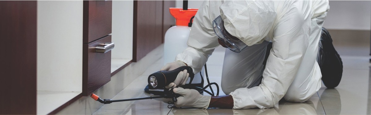 Service Monks Professional Conducting Site Inspection